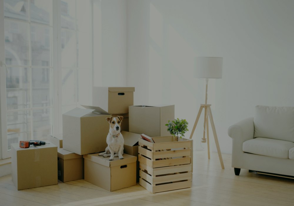 Moving + storage in Sherman Oaks